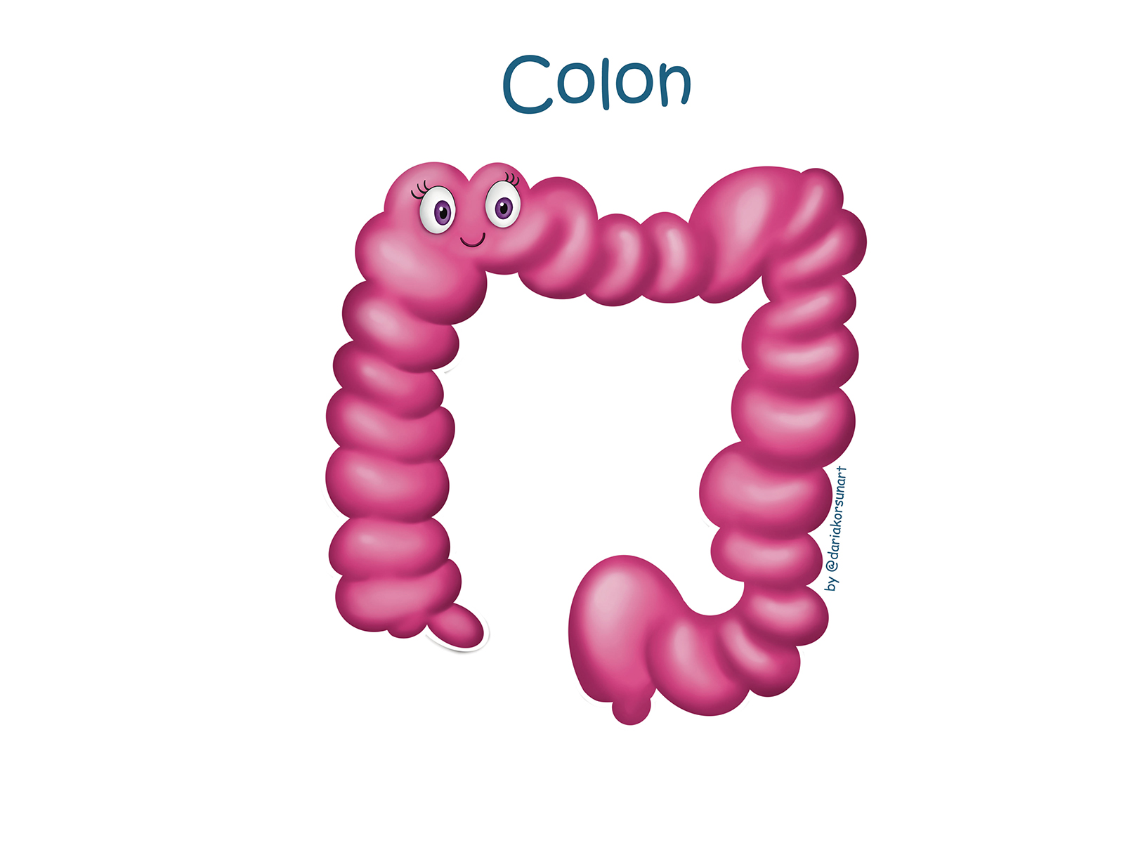 Colon