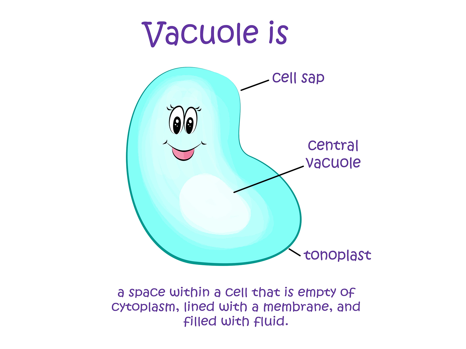 Vacuole